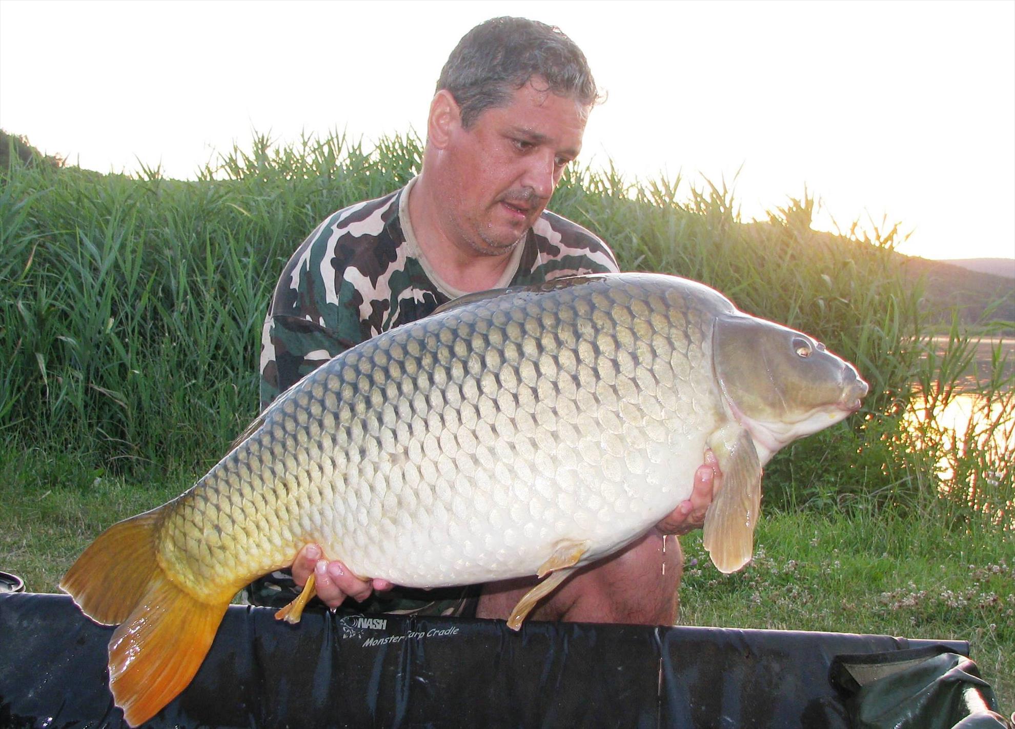 Harsany 21 - 27 iul. - img0145.JPG